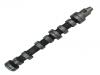 Camshaft Camshaft:300003