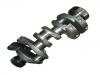 锻件曲轴 FORGING CRANKSHAFT:CFS195