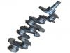 Casting Crankshaft:CMT04