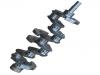 Casting Crankshaft:CMT07